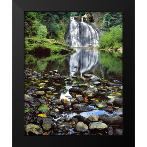 Oregon, Youngs River Falls Waterfall landscape Black Modern Wood Framed Art Print by Terrill, Steve