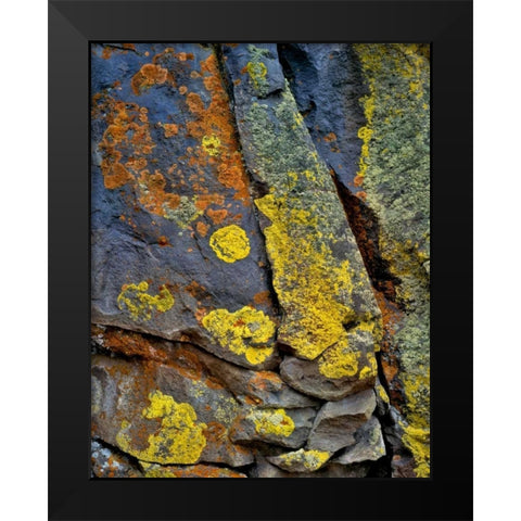 Oregon, Deschutes NF Lichen, covered basalt rock Black Modern Wood Framed Art Print by Terrill, Steve