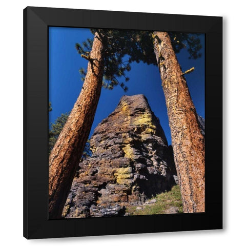 OR, Gearhart Mountain Trees frame rock formation Black Modern Wood Framed Art Print with Double Matting by Terrill, Steve