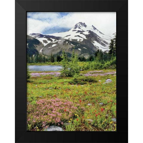 OR Mount Jefferson and field of flowers Black Modern Wood Framed Art Print by Terrill, Steve
