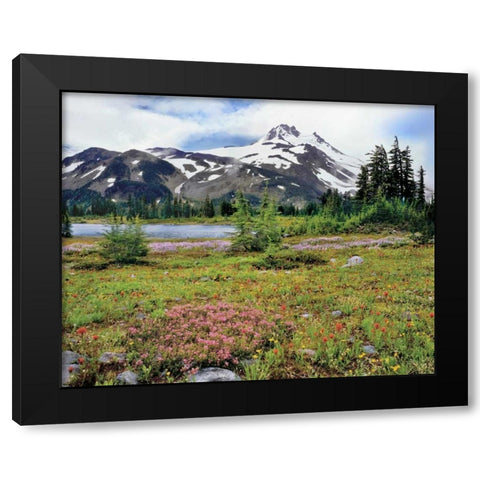 OR Mt Jefferson and field of flowers Black Modern Wood Framed Art Print by Terrill, Steve