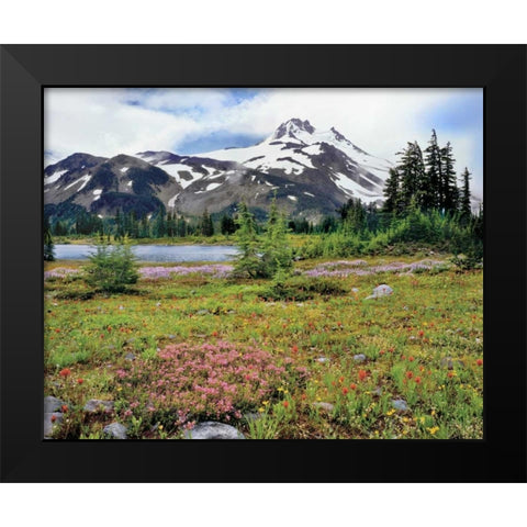 OR Mt Jefferson and field of flowers Black Modern Wood Framed Art Print by Terrill, Steve