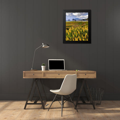OR, Ophir Yellow lupine and ocean beach Black Modern Wood Framed Art Print by Terrill, Steve