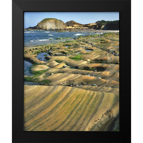 OR, Seal Rock SP Patterns on sandstone rock Black Modern Wood Framed Art Print by Terrill, Steve