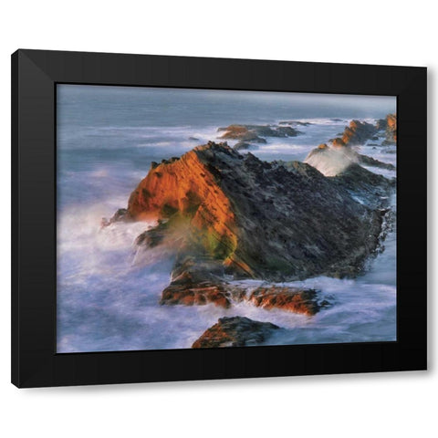 OR, Shore Acres SP Sunset on ocean shore cliffs Black Modern Wood Framed Art Print by Terrill, Steve