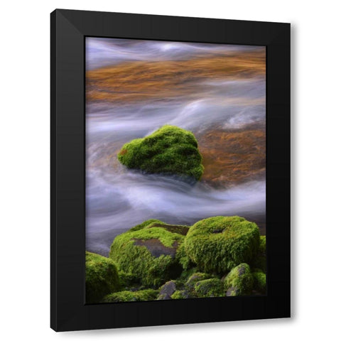 Oregon, Willamette NF McKenzie River over rocks Black Modern Wood Framed Art Print with Double Matting by Terrill, Steve