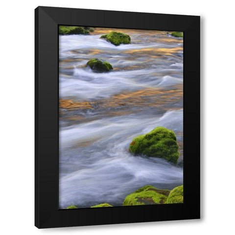 Oregon, Willamette NF McKenzie River over rocks Black Modern Wood Framed Art Print with Double Matting by Terrill, Steve