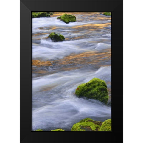 Oregon, Willamette NF McKenzie River over rocks Black Modern Wood Framed Art Print by Terrill, Steve
