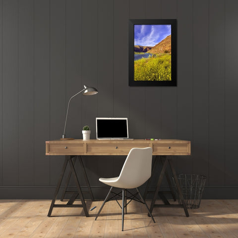 Oregon, John Day River Cliffs and wild mustard Black Modern Wood Framed Art Print by Terrill, Steve