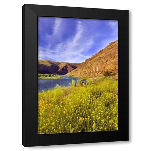 Oregon, John Day River Cliffs and wild mustard Black Modern Wood Framed Art Print by Terrill, Steve