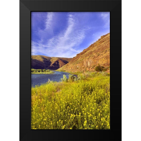 Oregon, John Day River Cliffs and wild mustard Black Modern Wood Framed Art Print by Terrill, Steve