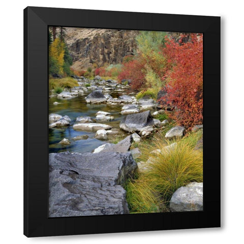 USA, Oregon Fall colors along John Day River Black Modern Wood Framed Art Print with Double Matting by Terrill, Steve