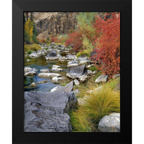 USA, Oregon Fall colors along John Day River Black Modern Wood Framed Art Print by Terrill, Steve