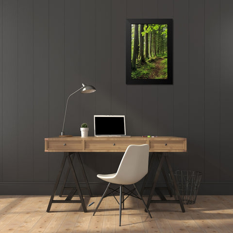USA, Oregon Forest trail scenic Black Modern Wood Framed Art Print by Terrill, Steve