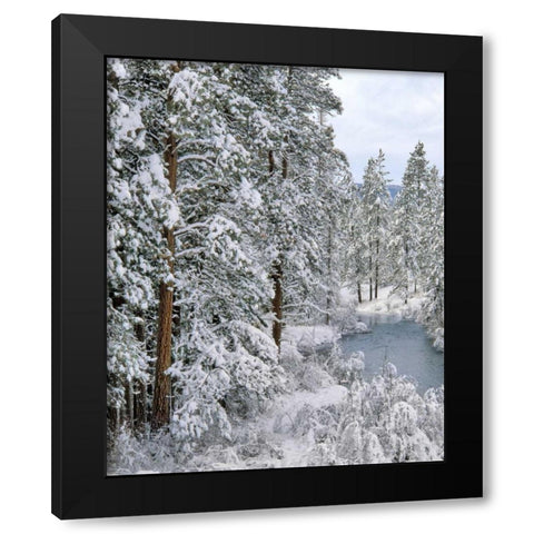 Oregon Fresh snowfall along Warm Springs River Black Modern Wood Framed Art Print by Terrill, Steve