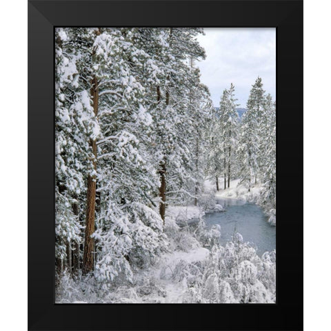 Oregon Fresh snowfall along Warm Springs River Black Modern Wood Framed Art Print by Terrill, Steve