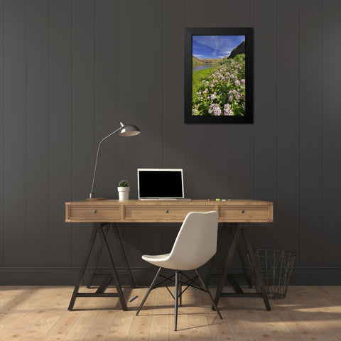 USA, Oregon Milkweed along the John Day River Black Modern Wood Framed Art Print by Terrill, Steve