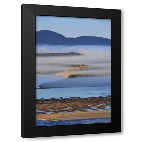 USA, Oregon Morning fog over Netarts Bay Black Modern Wood Framed Art Print by Terrill, Steve