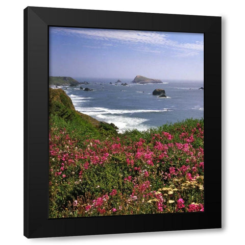 Oregon Seascape of Goat Rock and sweet peas Black Modern Wood Framed Art Print by Terrill, Steve