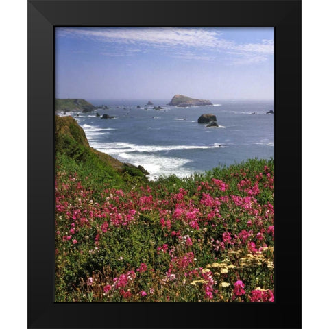 Oregon Seascape of Goat Rock and sweet peas Black Modern Wood Framed Art Print by Terrill, Steve
