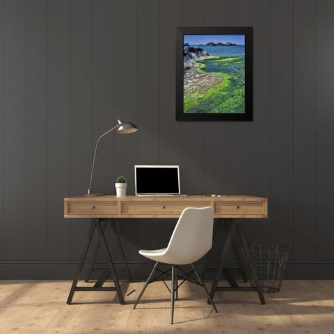 Oregon Rock formations and algae at Seal Rock Black Modern Wood Framed Art Print by Terrill, Steve