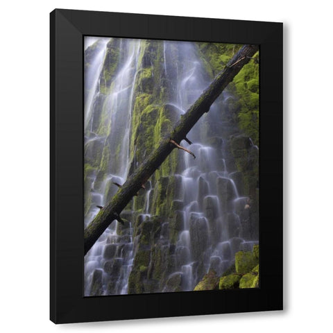 Oregon, Proxy Falls Waterfalls over basalt Black Modern Wood Framed Art Print with Double Matting by Delisle, Gilles