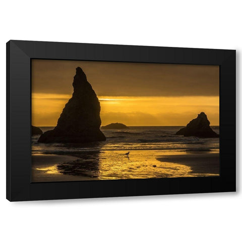 Oregon-Bandon Beach Wizards Hat formation at sunset  Black Modern Wood Framed Art Print by Jaynes Gallery
