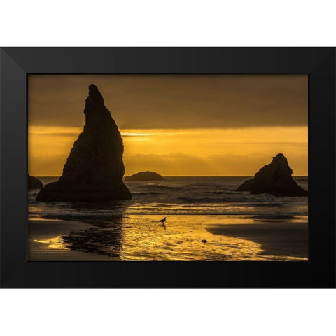 Oregon-Bandon Beach Wizards Hat formation at sunset  Black Modern Wood Framed Art Print by Jaynes Gallery