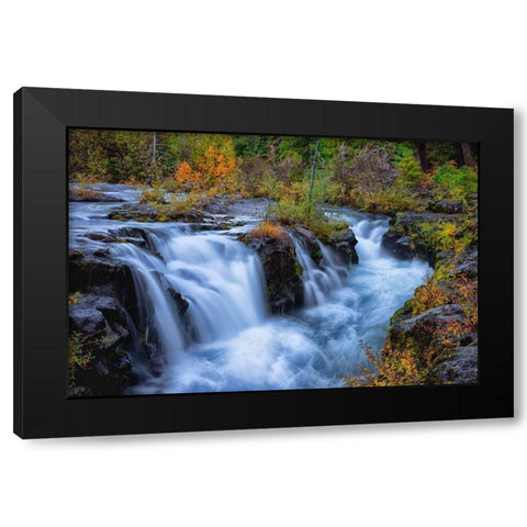 Oregon-Rogue-Umpqua Scenic Byway Upper Rogue River cascades into narrow gorge Black Modern Wood Framed Art Print by Jaynes Gallery