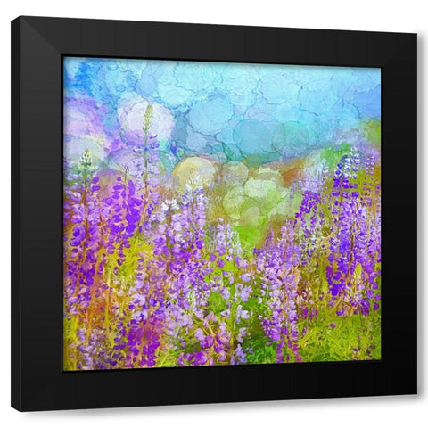 California-Redwood National Park Abstract of lupine flowers in fog Black Modern Wood Framed Art Print by Jaynes Gallery