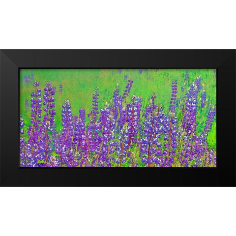 California-Redwood National Park Abstract of lupine flowers Black Modern Wood Framed Art Print by Jaynes Gallery
