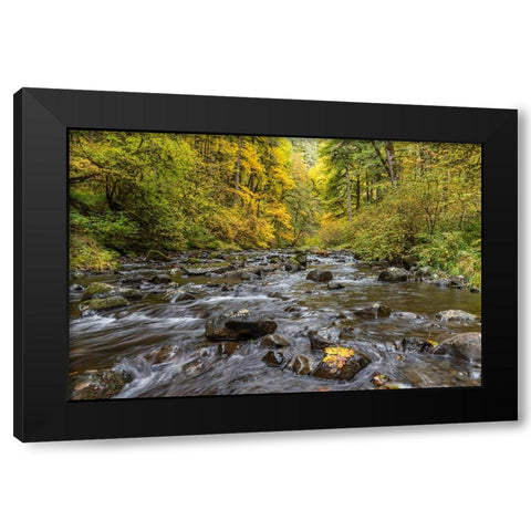 USA-Oregon-Silver Falls State Park River rapids and forest in autumn Black Modern Wood Framed Art Print by Jaynes Gallery