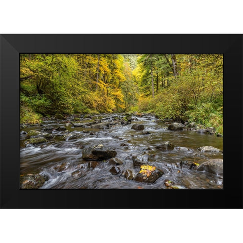 USA-Oregon-Silver Falls State Park River rapids and forest in autumn Black Modern Wood Framed Art Print by Jaynes Gallery