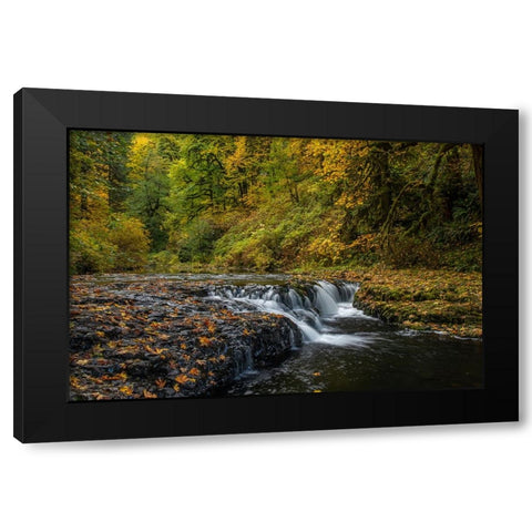 USA-Oregon-Silver Falls State Park Waterfalls and forest in autumn Black Modern Wood Framed Art Print with Double Matting by Jaynes Gallery