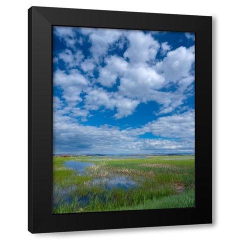 Malheur National Wildlife Refuge Black Modern Wood Framed Art Print by Sederquist, Betty