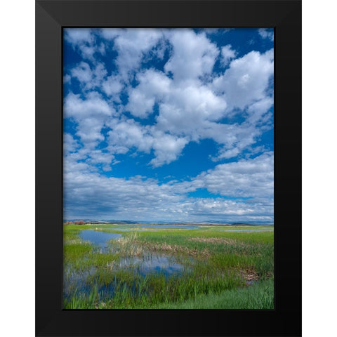 Malheur National Wildlife Refuge Black Modern Wood Framed Art Print by Sederquist, Betty