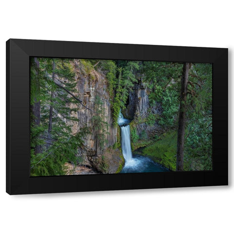Toketee Falls runs over basalt columns in the Umpqua National Forest-Oregon-USA Black Modern Wood Framed Art Print with Double Matting by Haney, Chuck