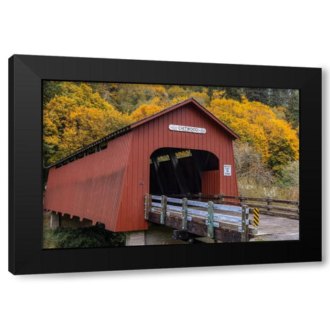 Chitwood Covered Bridge in autumn in Lincoln County-Oregon-USA Black Modern Wood Framed Art Print by Haney, Chuck