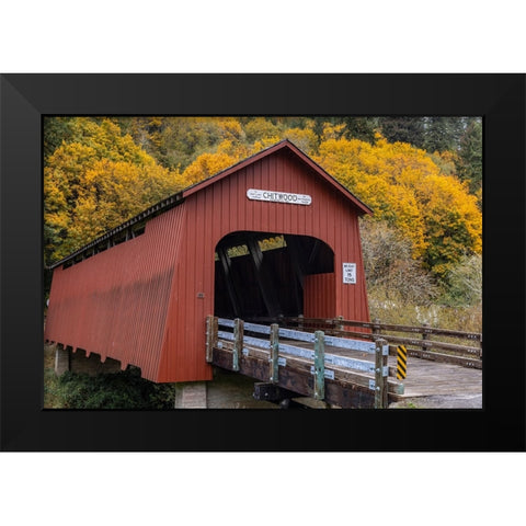 Chitwood Covered Bridge in autumn in Lincoln County-Oregon-USA Black Modern Wood Framed Art Print by Haney, Chuck
