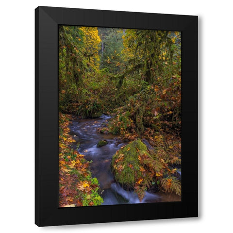 Munson Creek Falls State Natural Site in autumn near Tillamook-Oregon-USA Black Modern Wood Framed Art Print with Double Matting by Haney, Chuck
