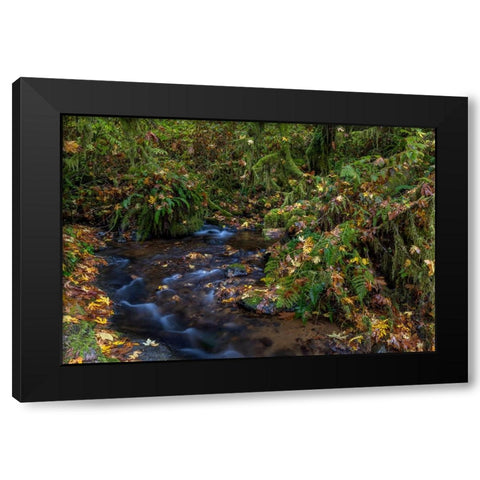 Munson Creek Falls State Natural Site in autumn near Tillamook-Oregon-USA Black Modern Wood Framed Art Print with Double Matting by Haney, Chuck