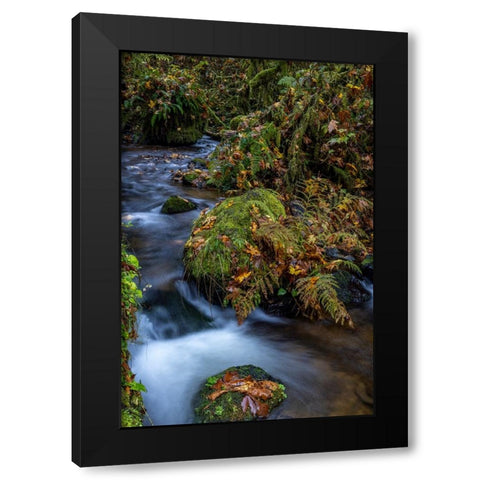 Munson Creek Falls State Natural Site in autumn near Tillamook-Oregon-USA Black Modern Wood Framed Art Print with Double Matting by Haney, Chuck