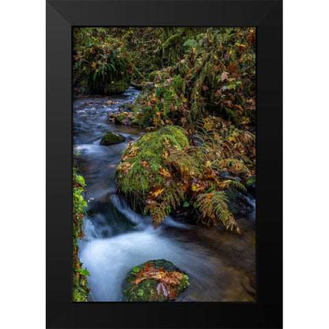 Munson Creek Falls State Natural Site in autumn near Tillamook-Oregon-USA Black Modern Wood Framed Art Print by Haney, Chuck