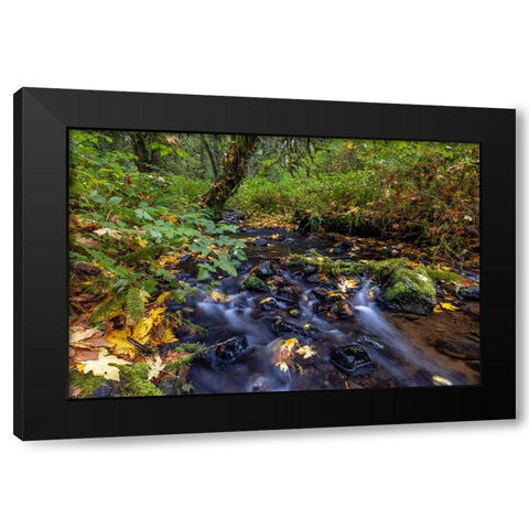 Munson Creek Falls State Natural Site in autumn near Tillamook-Oregon-USA Black Modern Wood Framed Art Print by Haney, Chuck