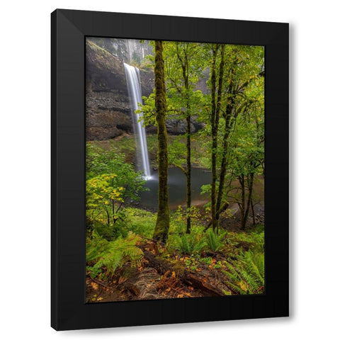South Falls at Silver Falls State Park near Sublimity-Oregon-USA Black Modern Wood Framed Art Print by Haney, Chuck