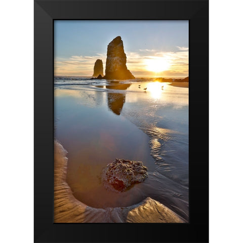 USA- Oregon. Cannon Beach low tide and ripples in the sand and sea stacks at sunset. Black Modern Wood Framed Art Print by Gulin, Darrell