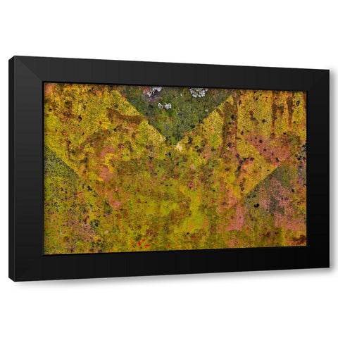 USA- Oregon- Tillamook. Close-up of old and rusted painted front truck bumper Black Modern Wood Framed Art Print with Double Matting by Gulin, Darrell