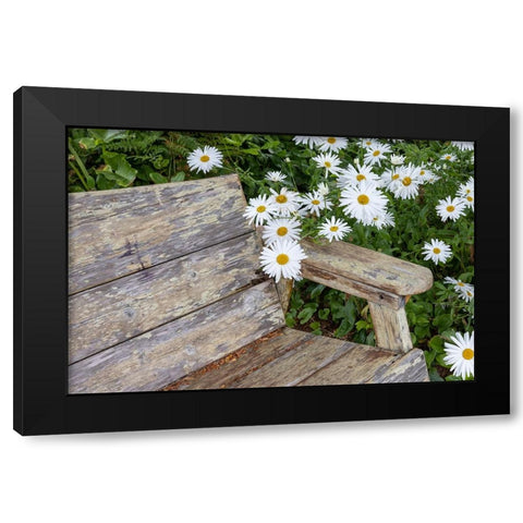 Usa-Oregon-Yachats Plantings Black Modern Wood Framed Art Print by Looney, Hollice