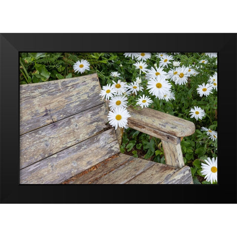 Usa-Oregon-Yachats Plantings Black Modern Wood Framed Art Print by Looney, Hollice