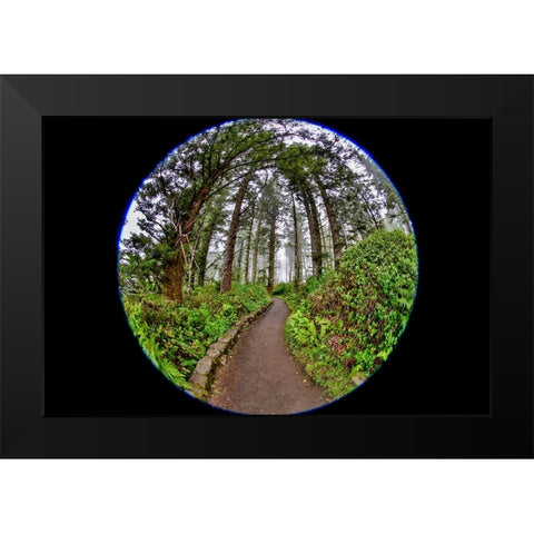 Usa-Oregon-Yachats Cape Perpetua Black Modern Wood Framed Art Print by Looney, Hollice